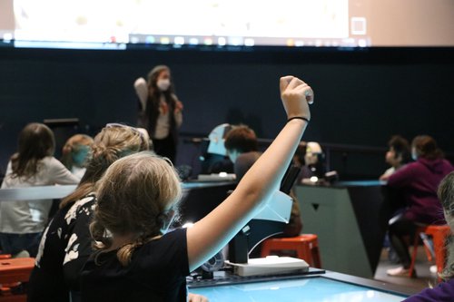 A student raises her hand in our Cohen Center for Interactive Learning.