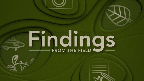 Image next to 'Student Publications #' findings from the field 2025