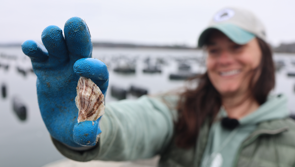 From Apprentice to Manager and Mentor: Kat Lipp’s Full-Circle Journey in Maine Aquaculture