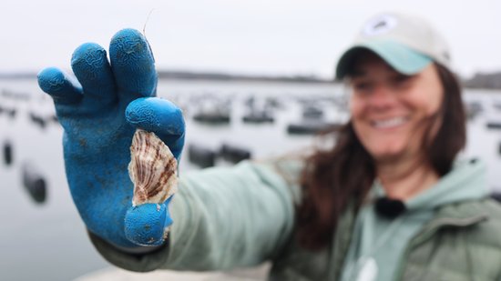 From Apprentice to Manager and Mentor: Kat Lipp’s Full-Circle Journey in Maine Aquaculture