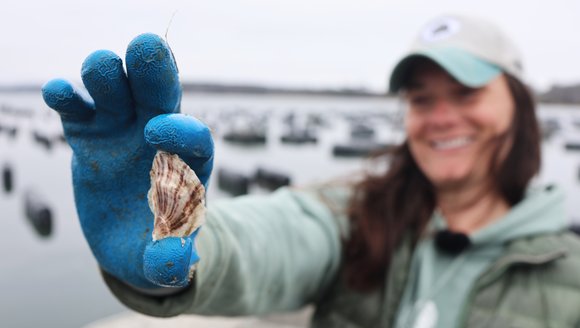 From Apprentice to Manager and Mentor: Kat Lipp’s Full-Circle Journey in Maine Aquaculture