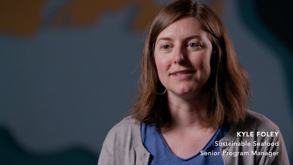 Gulf of Maine, Explained: Sustainable Seafood