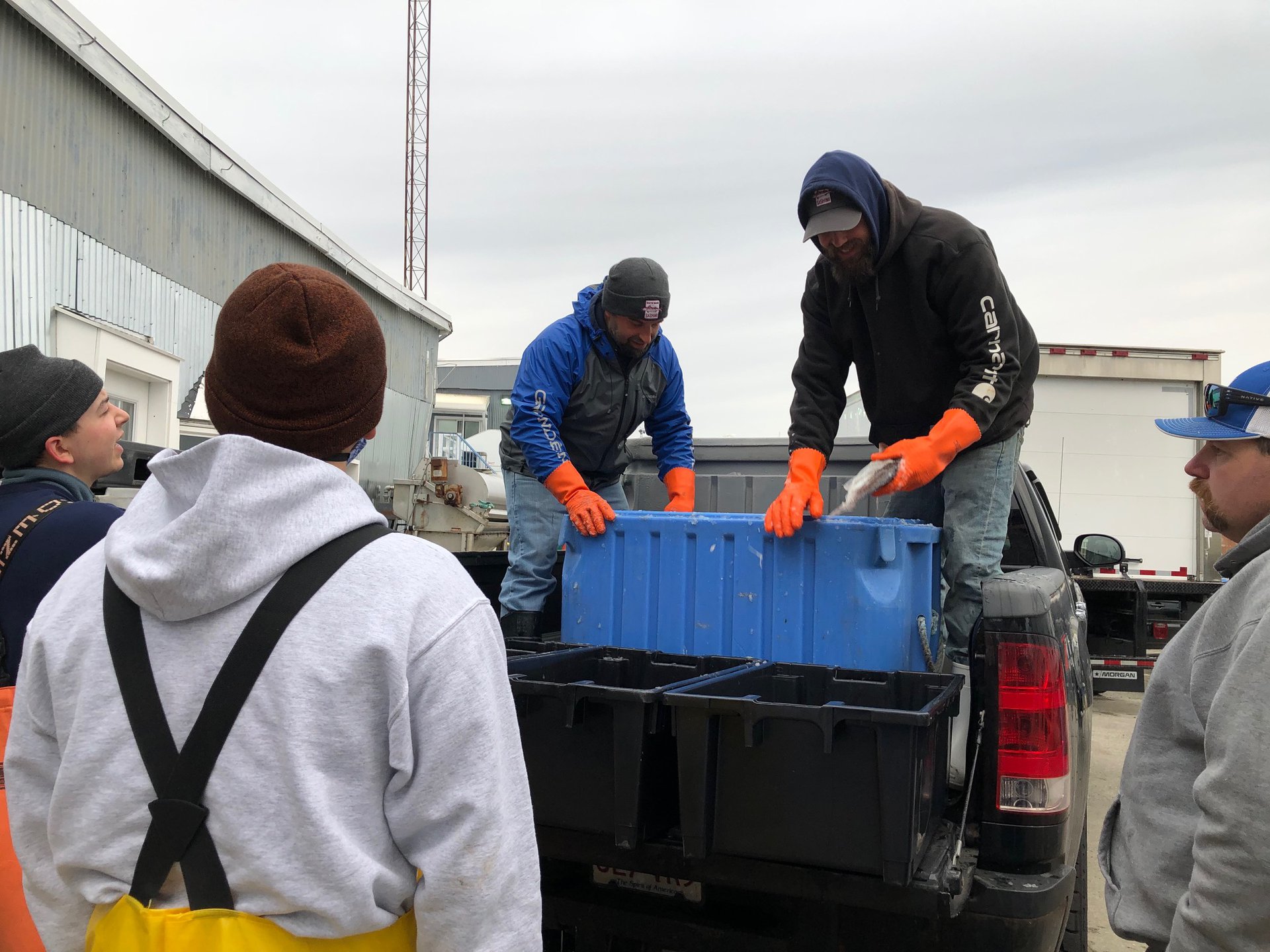 Fishermen holding fish stand atop a truck bed filled with blue and black bins.