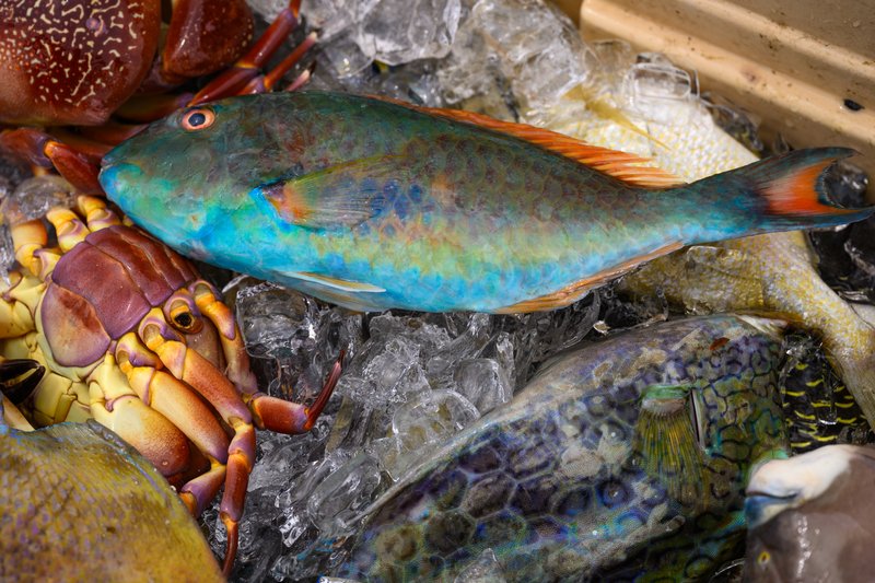 Close-up of colorful reef fish and crabs on ice at a St. Thomas, USVI fish market.