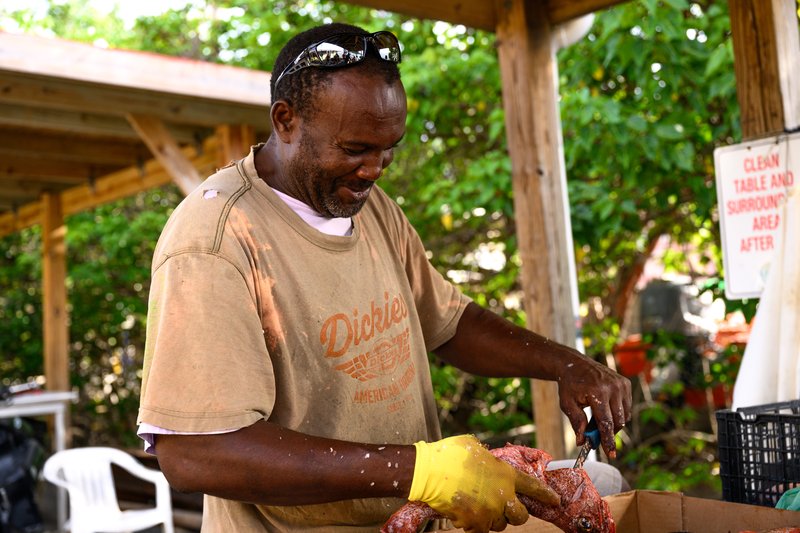 Fisherman cutting and cleaning fish at an outdoor table in St. Thomas, USVI.