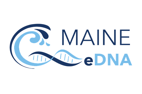 The Maine eDNA logo