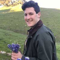 A portrait of a person smiling for the camera, holding a handful of purple flowers on a green mountain meadow.