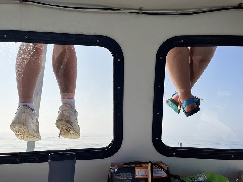 Two pairs of legs dangle down from the top of a boat, viewable through the windows.