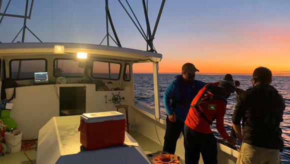 2021 Research Progress Update