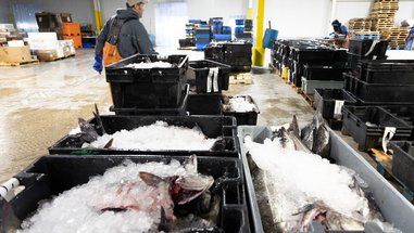 Developing the Blue Economy & Supporting Working Waterfronts