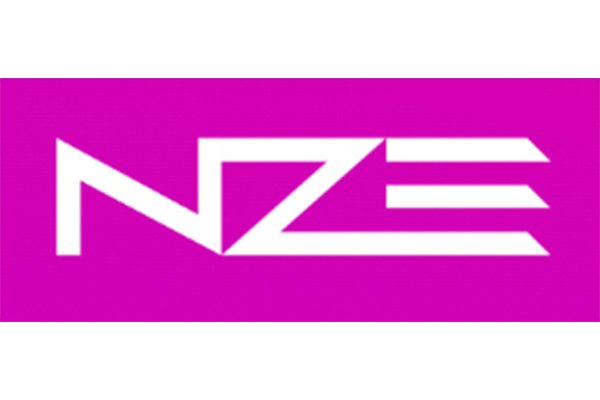 This is a logo for Net Zero Edge.