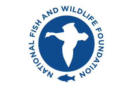 National fish and wildlife foundation logo