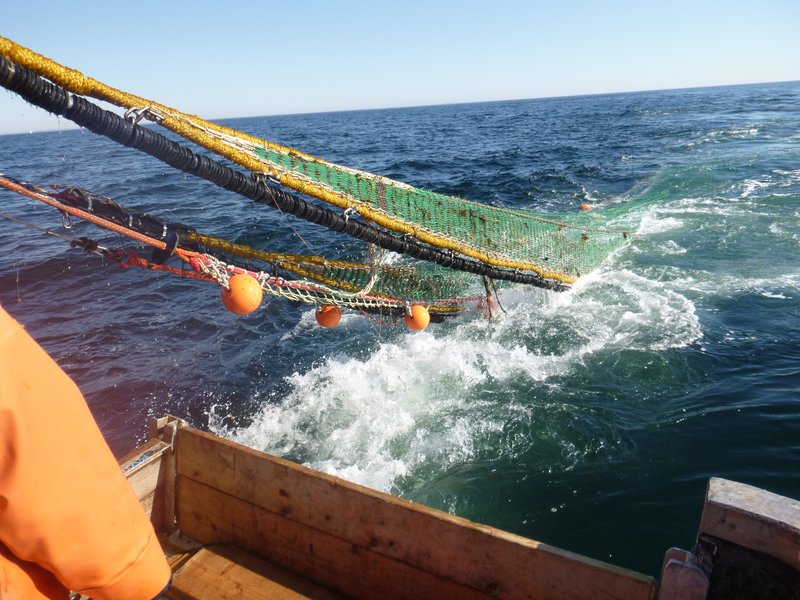 A trawling net is hauling fish out of the water.