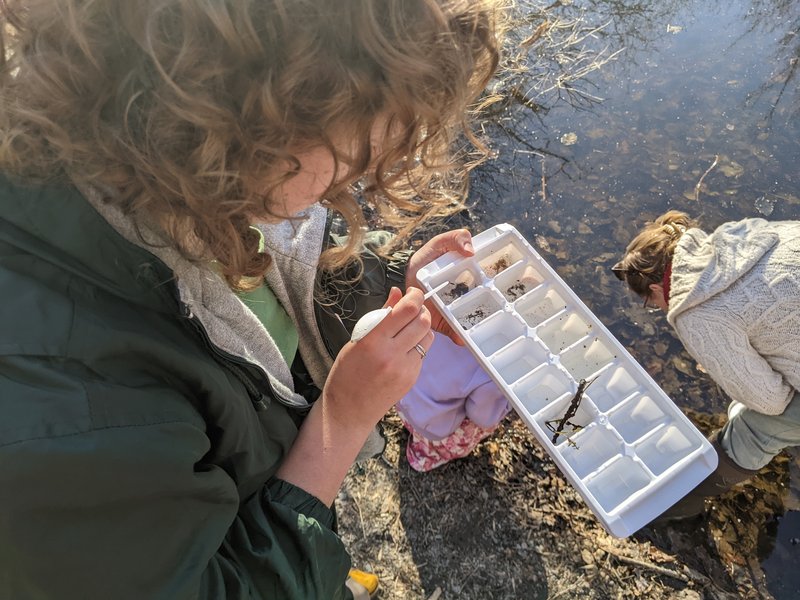 LENE vernal pool