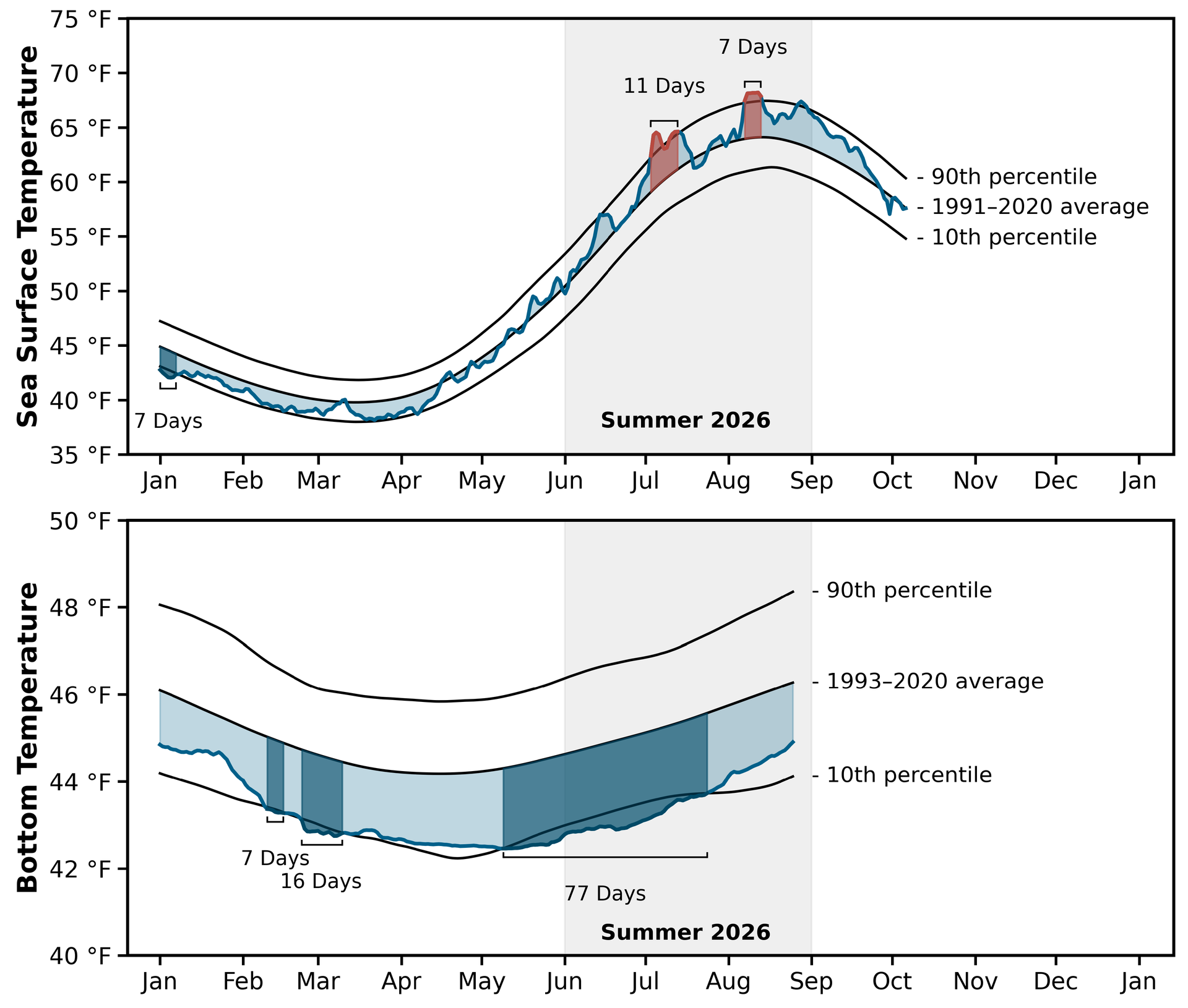Figure 4. Daily sea surface and bottom temperature variability in the Gulf of Maine through summer 2026.