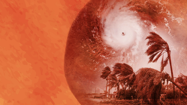 The front covers of a report. The background is burnt and the font is white.