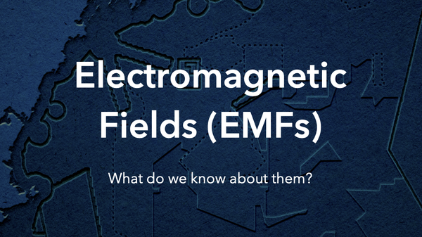 Text that reads "Electromagnetic Fields: What do we know about them?" on the cover page of this report