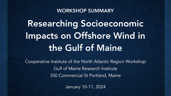 Workshop summary cover image