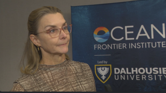 Researchers in Halifax to discuss solutions for a safer ocean