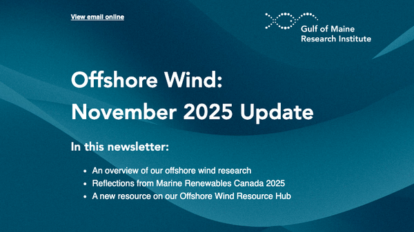 November 2025 OSW newsletter thumbnail