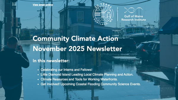 november 2025 ccat newsletter thumbnail