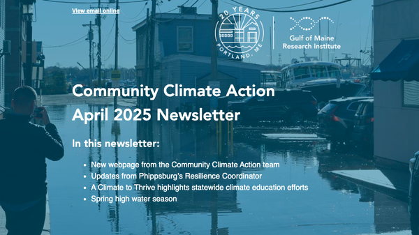 april 2025 ccat newsletter thumbnail