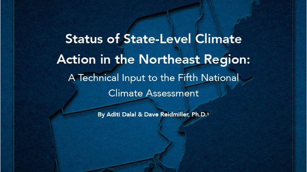 This is a cover for a report on the status of state action.