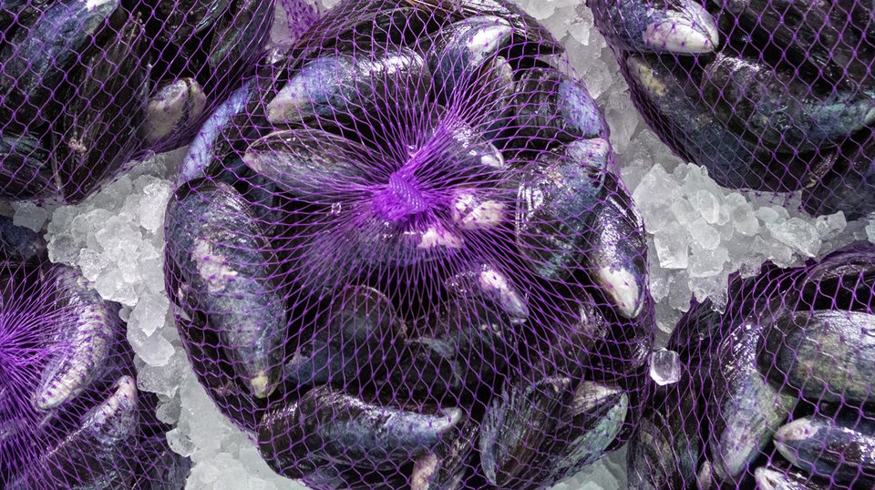 Supporting the Local Seafood Economy