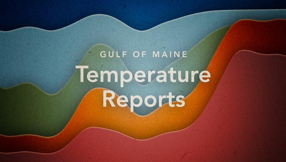 Gulf of Maine Temperature Reports