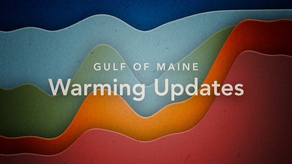 Gulf of Maine Warming Updates