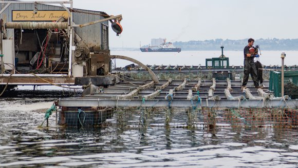 Aquaculture 101