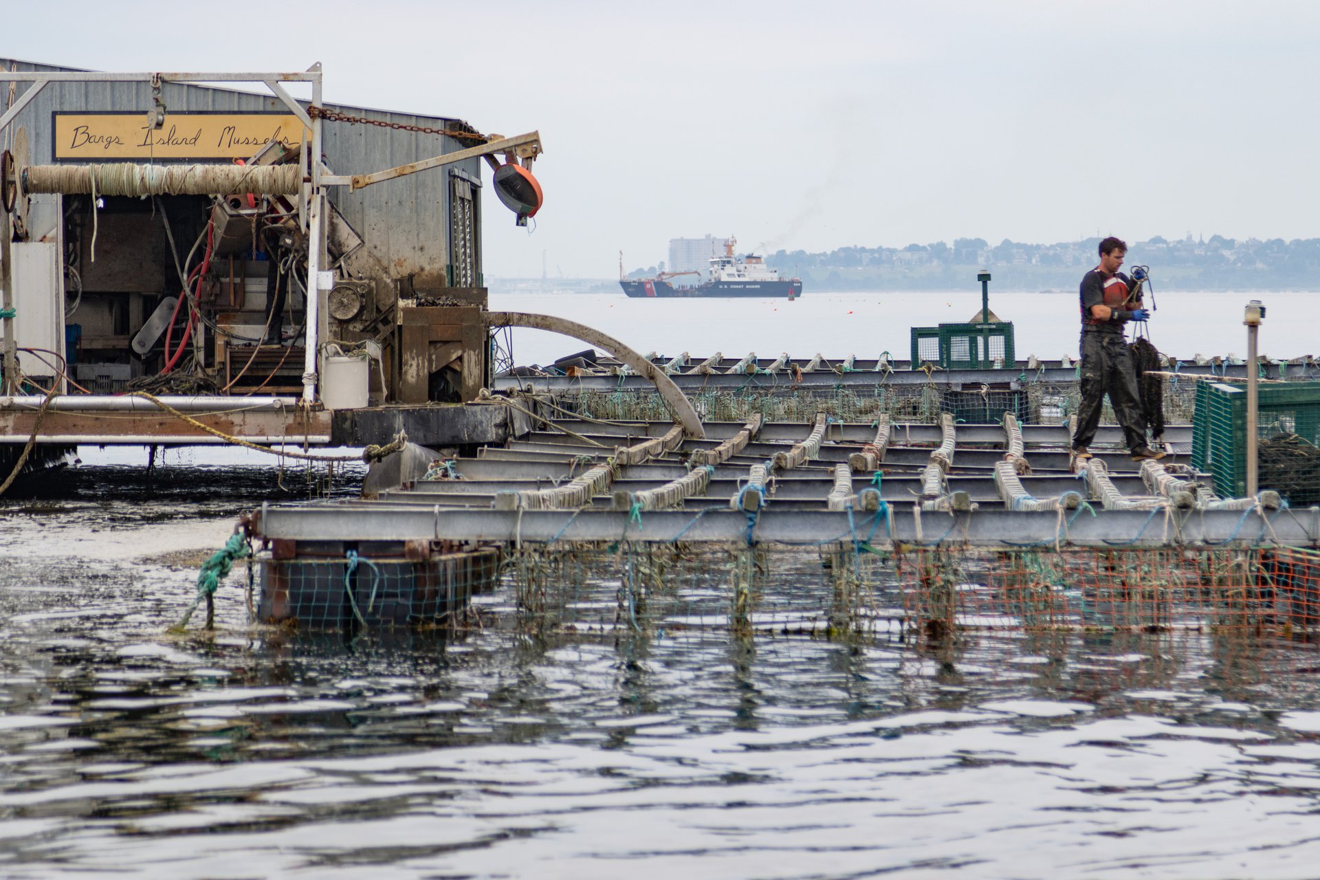 Employees of Bangs Island Mussels in Casco Bay work on mussel rafts on the water.