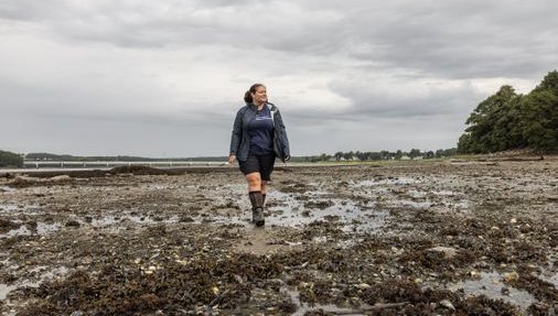 As the Gulf of Maine warms, where are the mussels? - The Boston Globe