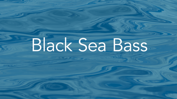 black-sea-bass-quality