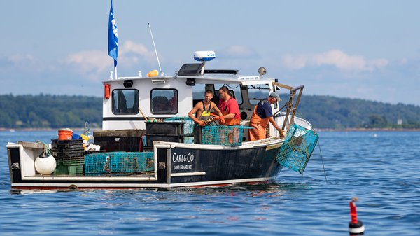 Multi-scale Forecasts and Analyses for the Maine Lobster Fishery