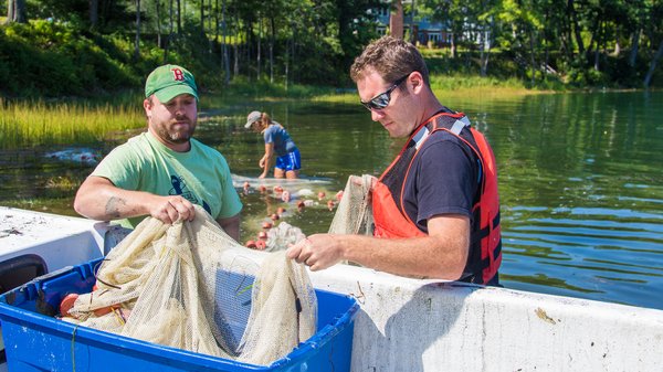 Casco Bay Aquatic Systems Survey (CBASS)