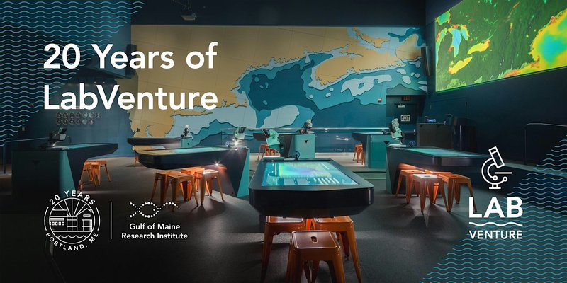 Celebrating 20 Years of Labventure