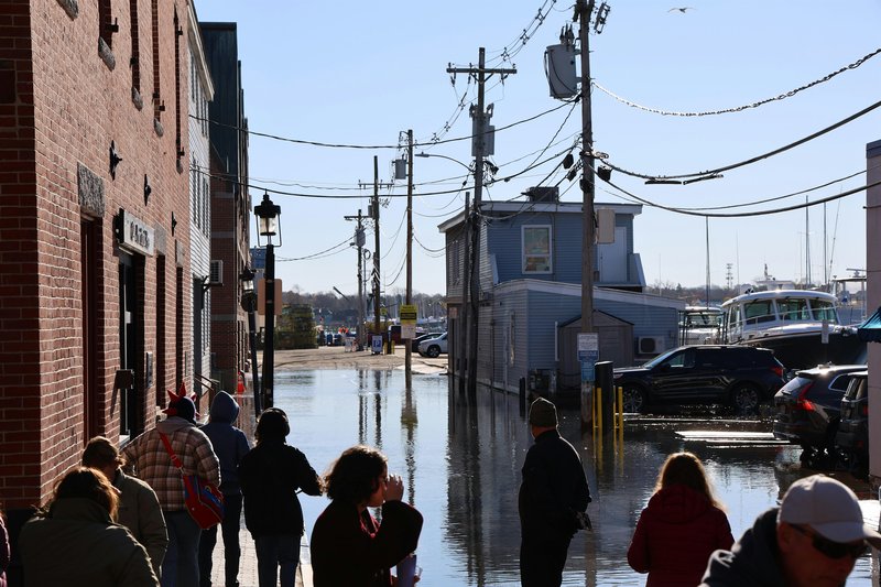 Celebrating Community Science in the Kennebec Estuary Region!