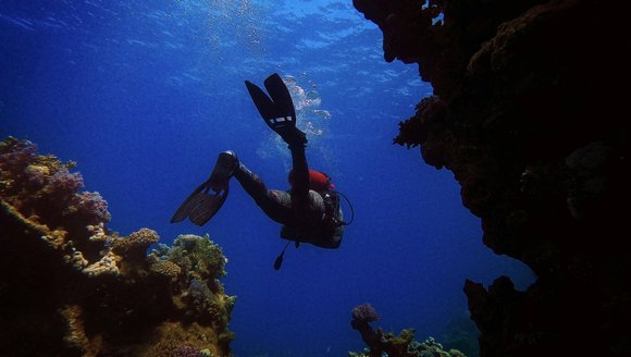 Challenges of technology transfer for blue-economy innovation | World Ocean