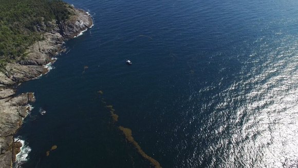 Changes in the Gulf of Maine