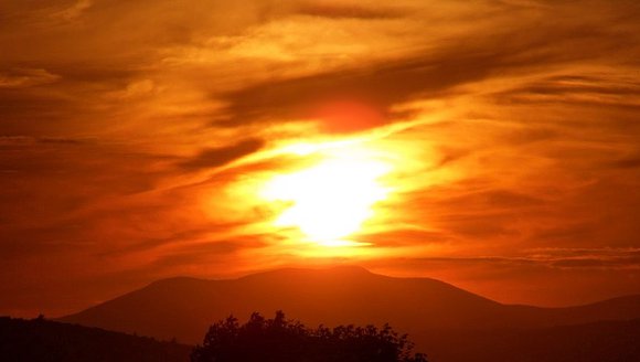 Climate & The Pandemic: Effects of the Pandemic on Climate Change & Lessons Learned about Global Crises