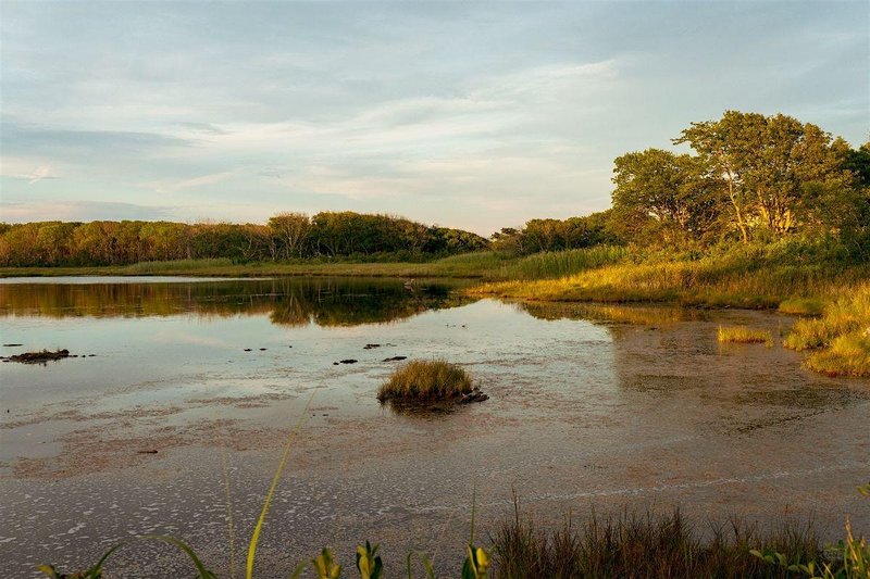 Coastal Excursion: Sea Level Rise SUP Tour