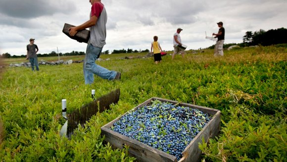 Commentary: Climate change presents threats, opportunities for Maine’s small-business community