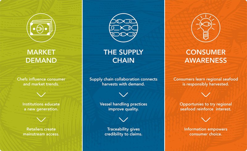 This graphic shows three columns, one green, one blue, and one orange that explain different components of sustainable seafood theory: market demand, the supply chain, and consumer awareness.