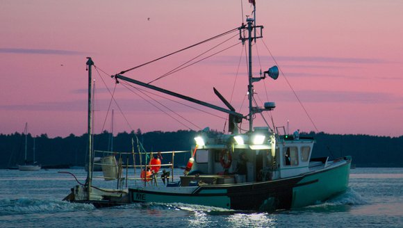 A Year of Seafood Impact