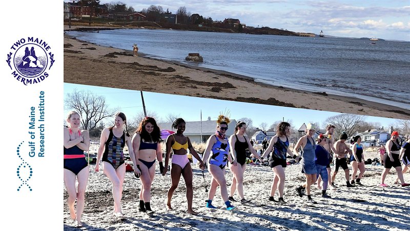 Dip After Dark! Documenting Extreme High Tides with Two Maine Mermaids