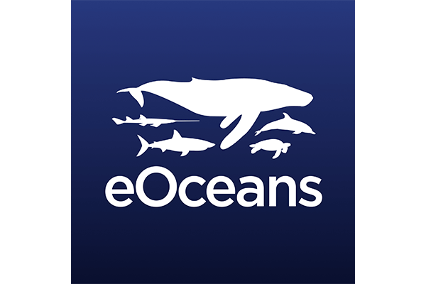eOceans logo
