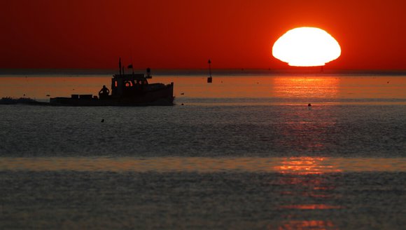 Early data suggest 2021 was one of the hottest years on record in the Gulf of Maine
