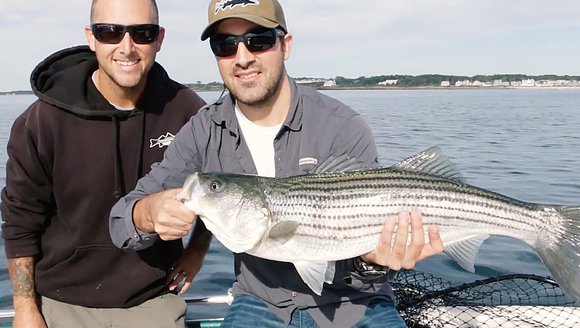 Scientists, Anglers Partner to Research Striped Bass