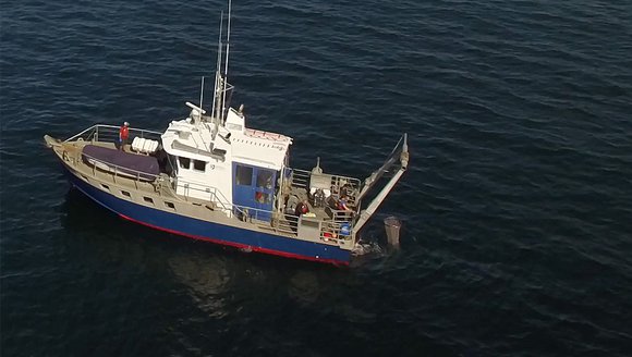 Surface to Seafloor: GMRI Researchers Lead Ecosystem Survey